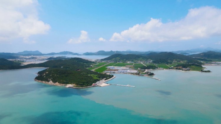 EBS 한국기행 노는 것을 허하노라 2부 이제 여름도 왔으니 제대로 놀고먹기의 진수를 보여주겠다는 신의도 전평욱 씨