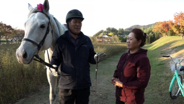 MBN 휴먼다큐 사노라면 664회 우리 남편은 신이 내린 팔자