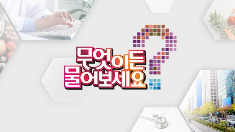무엇이든 물어보세요 12월 13일 무엇이든 팩트체크